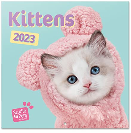 Grupo Erik Wandkalender 2023, Studio Pets Cats Wandkalender, Katzen Kalender zum Aufhängen, Kalender 2023 Wandkalender, Familienkalender 2023, offizielle Lizenz, FSC zertifiziert