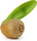 *** Kiwi Löffel Obstmesser - Löffel und Messer in einem - grün - perfekt und sicher für Kinder - von Heble® ***