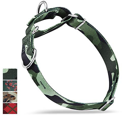 Hyhug Martingale-Halsband für kleine Hunde | Fluchtfest, Hochwertiges Nylon, Langlebig, Ohne Schnalle, Ideal für Training & tägliche Spaziergänge (Klein, Kamo-Grün)