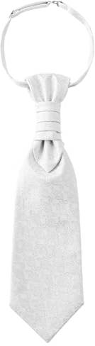 WANYING Herren Plastron Krawatte Vorgebunden mit Hakenverschluß Verstellbar Hochzeitskrawatte auf Hochzeiten Accessoires für den Bräutigam - Paisley Weiß 2