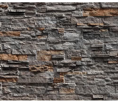 decomonkey - Papier Peint Panoramique Mur de Pierre 350x256 cm - Décoration murale moderne – Tapisserie décorative pour chambre salon - Modèle gris pierre texture fond