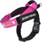 EZYDOG Express Hundegeschirr | Hundegeschirr für kleine, mittelgroße und große Hunde, abgewinkeltes, ergonomisches Design, geformter Griff, leicht zu lösende Seitenschnalle (L, Rosa)