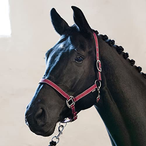 Horse Guard Rio Halfter - Korallenfarben - Mini-Shetty