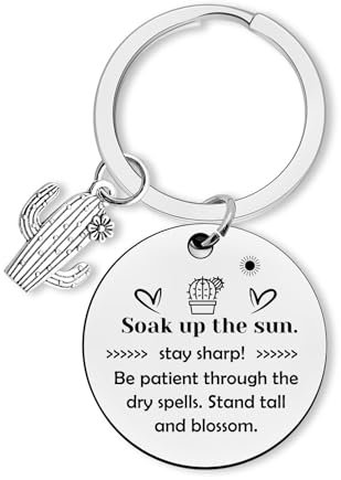 Cactus Keyring Inspirational Gifts for Women Men Motivational Keychain Gifts for Girls Boys Cheer Up Gift for Daughter Son Friends Coworker Christmas Graduation Encouragement Gift