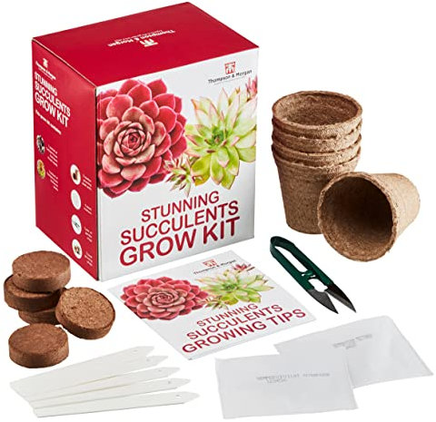 Thompson & Morgan Stunning Succulents Sempervivum Complete Growing Kit Easy to Grow Succulent Gift Gardening Present