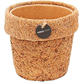 exotenherz - Kokodama Pot de fleurs vide 13 cm