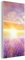 MuchoWow Glasbild Glasfoto Wandbild Bilder Deko 40x80 cm Lavendel - Sonne - Himmel - Natur