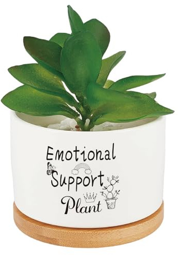 CRASPIRE Supporto Emotivo Piccolo Vaso in Ceramica Bianca Aloe Vera Cactus Fioriera Succulenta Vassoio in Legno con Foro di Drenaggio Divertenti Vasi per Interni Ed Esterni per Ufficio Davanzale