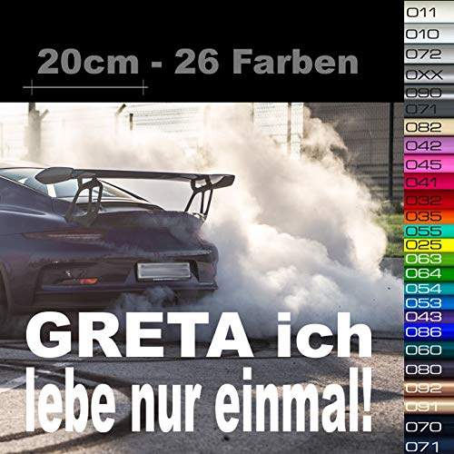 Greta ich lebe NUR EINMAL Aufkleber - Fridays for Tuning, Hubraum Sticker, Klimagretel, Feinstaub Monster Terrorist, Dirty Diesel, Umweltplakette
