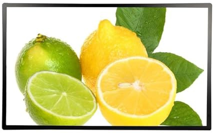 Wall-Mount Digital Signage Display, Touchscreen Wall Mount Digital Signage, Advertising Display, Indoor Digital Signage for Living Room Bedroom Kitchen Bathroom,65