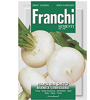 Semi Rapa da Orto Bianca Lodigiana Franchi Sementi 12g