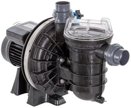 Pentair Pompe Piscine La Sta-Rite 1 CV / 16 m³/h Mono - Noir