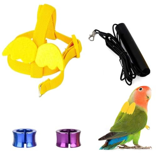 Harnais et Laisse pour Perroquet, Harnais Réglable pour Oiseaux, Corde D'entraînement de Perroquet Réglable, Animal Domestique Corde Anti-Morsure Sangle Élastique, Laisse pour Calopsitte, Cacatoès