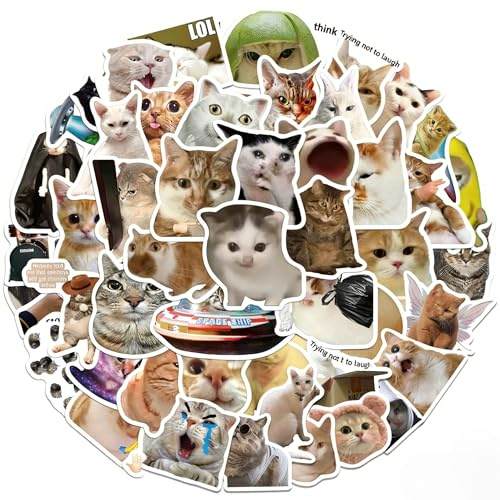 QIANSSE 100PCS Funny Cat Meme Waterproof Vinyl Sticker Pack | Cute Decorative Stickers for Laptop, Water Bottle, Teens and Adults