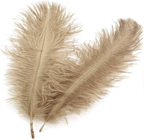 20 Stück 15-20cm Natürliche Straußenfedern,Strauß Feder zum Basteln,Bastel Federn für DIY Traumfänger Zubehör,Heimdekoration,KostüMe,Tischdeko Hochzeit Party Fest Hüte Kleidung Dekoration,Khaki