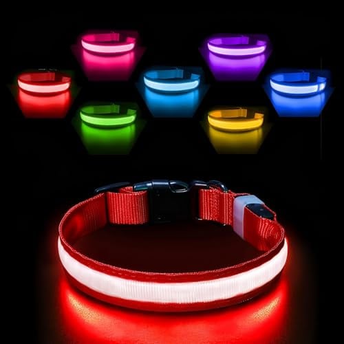PcEoTllar Leuchthalsband Aufladbar, Einstellbar für Hunde, Rot-M | LED Halsband mit 7 Farben & Blinkmodi. Aufladbar, wasserdicht & verstellbar für kleine bis große Hunde.
