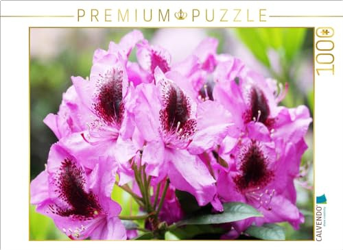 CALVENDO Puzzle Rhododendron in Pink mit dunklem Fleck | 1000 Teile Lege-Größe 64 x 48 cm Foto-Puzzle für glückliche Stunden