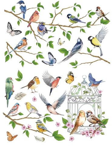 Joeyan Birds on the Branches Rub On Transfers for Furniture and Crafts, 2 Large Watercolor Design Sheets 43 x 30 CM, DIY Home Decal on Wood Glass Metal Canvas Porcelain Paper Plastic
