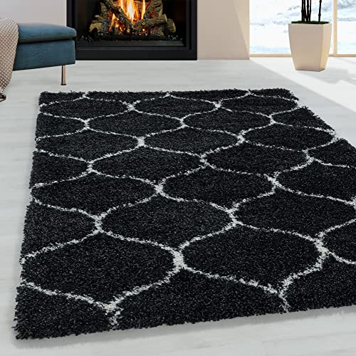 Miovani Hochflorteppich Langflorteppich Wohnzimmer Shaggy Schlafzimmer Anthrazit 120x170