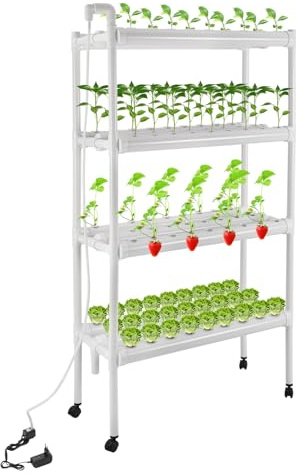 Kit de cultivo hidropónico de 4 plantas para jardín, hidropónico, plantas, sistema de riego, estructura hidropónica, sin suelo, siembra vegetal, sistema de crecimiento