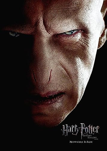 Displate - Poster aus Metall - Einfache Montage ohne Bohren - Wizarding World - Deathly Hallows Movie Posters - HP7 Voldemort Portrait - Größe M - 32x45cm Matt