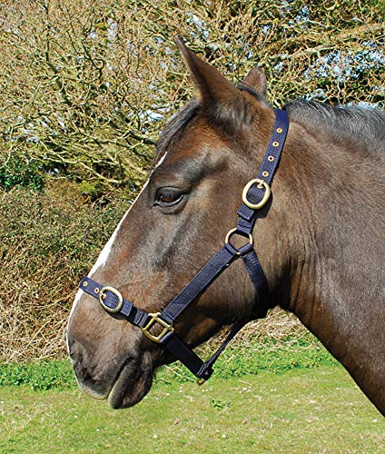 Rhinegold Nylon Headcollar - Full - Navy