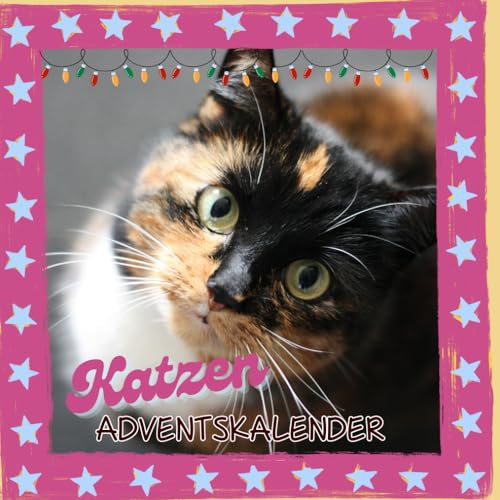 Katzen Adventskalender: Täglich ein Fensterchen voller Katzensüße