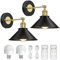 LumaBrite Battery Operated Wall Light Set of 2, Wireless Wall Sconces Set of Two Dimmable Wireless Wall Lights Industrial Battery Operated Wall Sconce with Remote Battery Powered for Bedroom Hallway