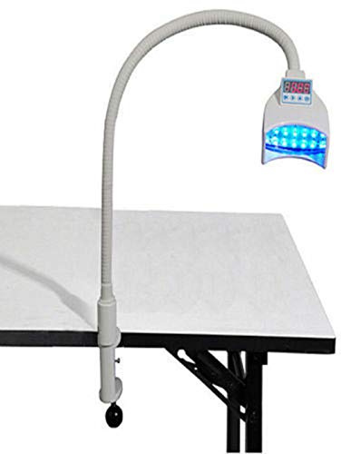 Lampe de Dent LED Affichage blanchiment lumière froide Dentaire Teeth Machine Dental Teeth Whitening Lampe
