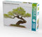 CALVENDO Puzzle Prächtiger Bonsai Baum, Sichuan Provinz, China. 1000 Teile Puzzle quer | Lege-Größe cm Foto-Puzzle für glückliche Stunden