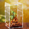 xixibuy Spinnen Terrarium, Reptile Terrarium Box, Portable Habitat for Reptiles and Amphibians, Suitable for Spiders, Lizards, Frogs, Scorpions, Barbecues, Geckos(Acryl-12 * 12 * 20cm)