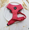 Harnais pour Chien Rose Taille M