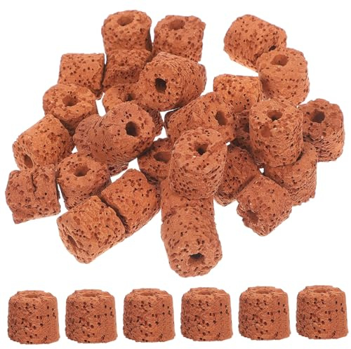 BESPORTBLE 30 Pezzi Fissaggio Piante Acquatiche in Scuro Fissi per Supporto Pratico e per Piante in Vasetti e Acquari