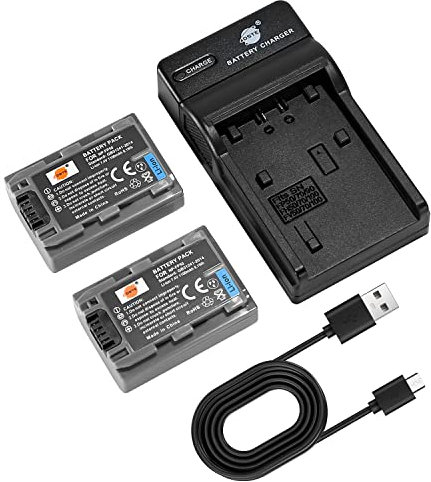 DSTE NP-FP50 Lot de 2 Batteries et Chargeur compatibles avec Sony DCR-30, DCR-DVD105, DCR-DVD202E, DCR-DVD203E, DCR-DVD205E, DCR-DVD304E, DCR-DVD305