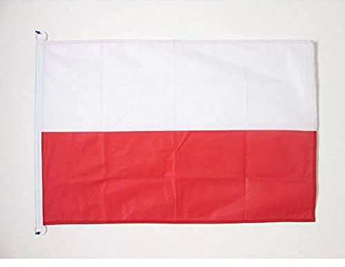 AZ FLAG Bandera de Polonia 90x60cm Uso Exterior - Bandera POLACA 60 x 90 cm Anillos