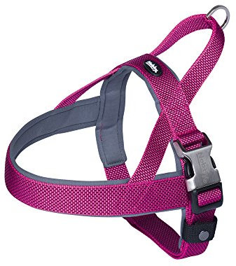 Nobby Norwegergeschirr Classic Preno Royal, himbeere L: 38-50 cm + 36 cm, B: 20/25 mm, 1 Stück