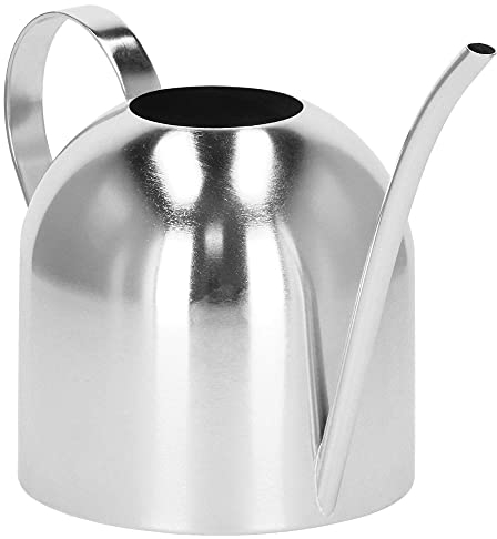 SPRINGOS Arrosoir en Acier Inoxydable Accessoires de Décoration Volume 1L Arrosoir pour Petites Plantes Herbes Fleurs Décoration de Table Vase Fleur Acier Inoxydable Chic Petit (Argent Brossé 1L)