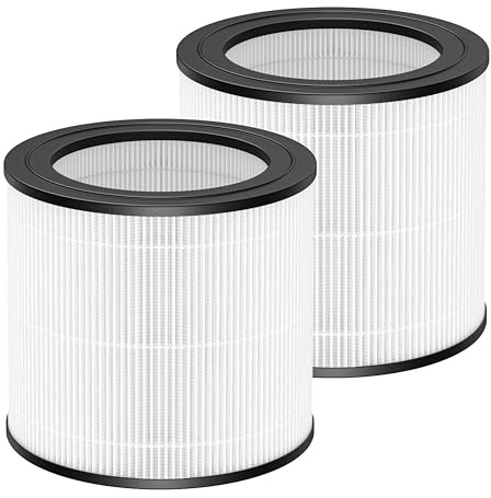 2 Pack Air Purifier Filter Compatible With Philips Air Purifier Filter 600 Series Ac0650/10& Ac0651/10 Air Purifier,Replacement Filter Suitable For Home Use,Pet,Baby,H12 Hepa Filter (Carbon-Free)