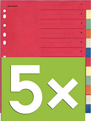 Falken Karton-Register für DIN A4 24 x 29,7 cm volle Höhe mit Organisationsdruck (12-teilig | 5er Pack)