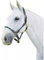 Kincade Geflochtenes Leder-Halfter, Marineblau