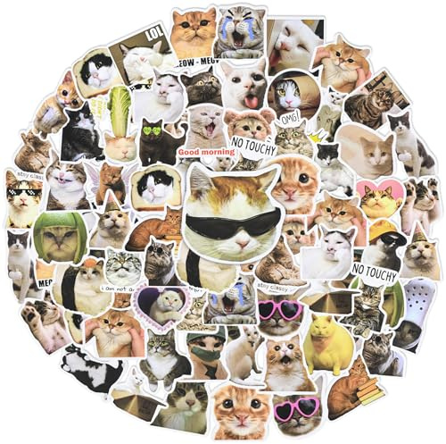 NISENTIA Katzen Sticker, 100 Stück Cat Meme Sticker Katzensticker Lustige Süße Stickers Wasserfeste Vinyl Aufkleber Katze Aufkleber für Katzenliebhaber Laptop Mobiltelefone Skateboard Gepäck