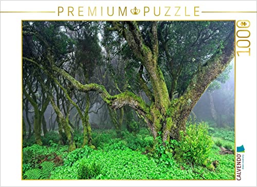 CALVENDO Puzzle Lorbeerwald im Nebel | 1000 Teile Lege-Größe 64 x 48 cm Foto-Puzzle für glückliche Stunden