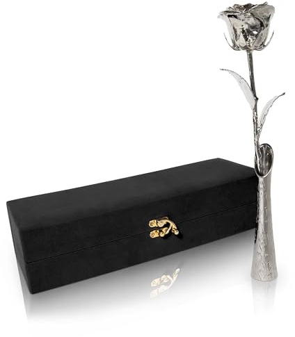 VonDelve Echte Rose mit langem Stiel, platiniert, handverlesene echte Blume, ewige Erinnerung für Ehefrau, Mutter oder Beste Freundin, zum Geburtstag oder Jahrestag