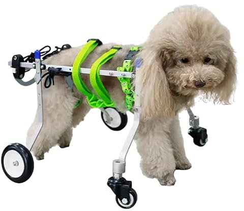 Rollstuhl für Hunde 4 Räder Hund Rollstuhl Volle Unterstützung, Pet Rehabilitation Cart für Deaktivierte Rück-/ Vorderbeine, Kleine/ Mittel-/ Große Katzenrad -Roll -Stützwerkzeuge ( Size : Size S )