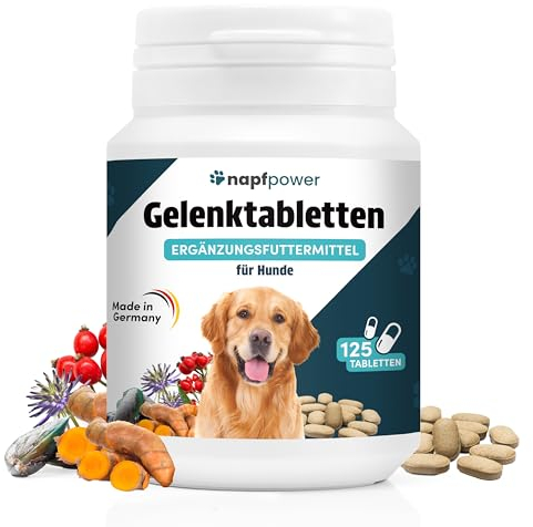 Napfpower Gelenktabletten Hund (125 STK.) mit Grünlippmuschel - Leckerli mit MSM, Teufelskralle, Glucosamin, Hyaluron & Kurkuma Unterstützt die Gelenke & Knochen