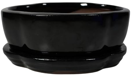Ceramic Bonsai Pot - 120 x 95 x 45 - Black Oval Bonsai Tree Planter | With a Matching Drip Tray