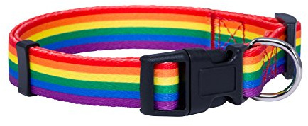 Native Pup Hundehalsband, Regenbogen-Flagge, Gay Pride Stuff für Parade, LGBTQ Flaggen, Equality Pet Apparel Decor Gift and LGBT Ally Accessories (groß)