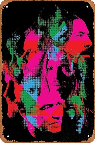 Foo Fighters Poster Musikposter Metallschild Blechschilder Vintage Lustiges Geschenk Retro Wanddekoration für Zuhause, Straße, Tor, Bars, Club, Restaurants, Cafés, Geschenk, 30.5x20.3 cm Metallschild