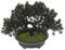 TOYANDONA Bonsai-Ornamente Dekorativ Muss Blätter Realistischer Künstlicher Bonsai-Baum Drinnen Dekoration Anlage Bonsai-Baum-fälschung Zimmerpflanze Realistische Kunstpflanze Mini Für PVC