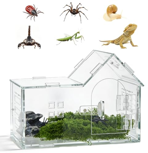 DICOSMETIC Mini Springspinne Terrarium Für Kleine Reptilien Spinnen | Acrylmaterial,360 klare Sicht,20×10×15cm,belüftetes Design,hausförmige Form